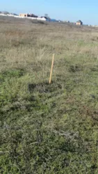 Продається земельна ділянка в морському селі Фонтанка,Лиманського р-ну фото 4 Продається земельна ділянка в морському селі Фонтанка,Лиманського р-ну фото 4