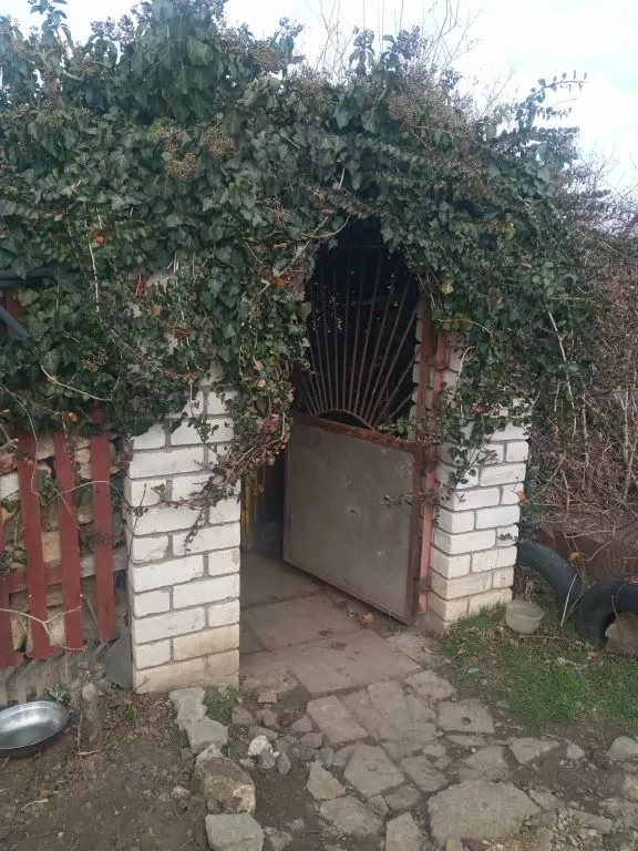 ������� � ���� � ������������� � �. �����! ���� 1