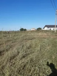 ĳ����� 7 ����� ������� ���� 4