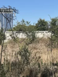 Ділянка у Фонтанці-1 фото 9 Ділянка у Фонтанці-1 фото 9
