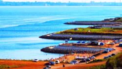 Ділянка 10 соток у селі Ліски! фото 2 Ділянка 10 соток у селі Ліски! фото 2