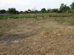 В продажі ділянка в с. Красносілка фото 1 В продажі ділянка в с. Красносілка фото 1