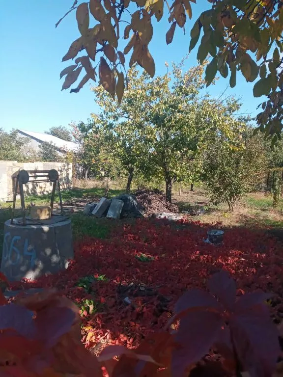 ������� � �. ����� �� '�������'! ���� 1