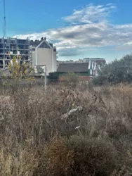 Ділянка в Лісках фото 2 Ділянка в Лісках фото 2