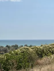 Пропонуємо до продажу земельну ділянку з видом на море та лиман фото 5 Пропонуємо до продажу земельну ділянку з видом на море та лиман фото 5