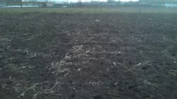 В продажі ділянка в с. Красносілка фото 5 В продажі ділянка в с. Красносілка фото 5