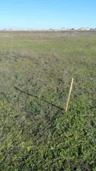 Продається земельна ділянка в морському селі Фонтанка,Лиманського р-ну фото 1 Продається земельна ділянка в морському селі Фонтанка,Лиманського р-ну фото 1