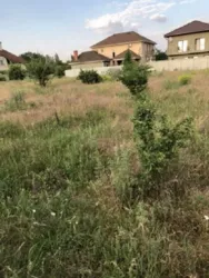 Ділянка 10 соток у Лісках! фото 2 Ділянка 10 соток у Лісках! фото 2