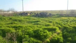 ĳ����� 8 ����� � �. ��������! ���� 2