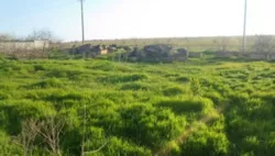 ĳ����� 7 ����� � �. �����! ���� 4