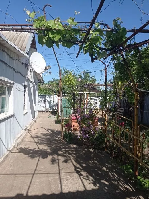 ��� ������� 80 ��.� 3 ������� ������ ������� �������� 6 ����� ���� 1