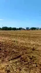 Ділянка 6 соток у с. Фонтанка! Гарна ціна! фото 6 Ділянка 6 соток у с. Фонтанка! Гарна ціна! фото 6