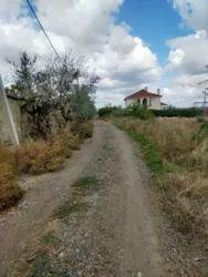 ĳ����� � ��� ������������ ���� 7