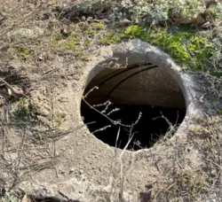 ������ ������ ������ �� �������� ���� 4