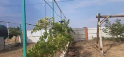 Ділянка 10 соток. Світло та вода заведені на ділянку, вулиця забудовується. Кутовий двосторонній. фото 7 Ділянка 10 соток. Світло та вода заведені на ділянку, вулиця забудовується. Кутовий двосторонній. фото 7