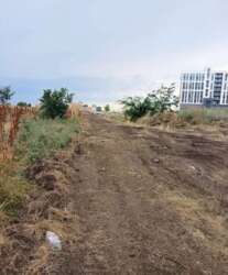 54 ����� � �������� ������� ���� 3