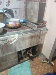 ������� � ���� � ������������� � �. �����! ���� 9