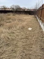 �������� ���i� ���� 5