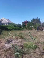 ����� ������� � �. ���������� ���� 7