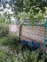2 ������� �� ������'� ���� 2