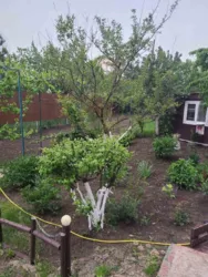 ��������� ������� �����, ����������, ������� ���� 7