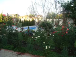 ������� �.˳��� ���� 3