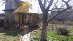 ��������� ������� � ��� �������� ���� 25