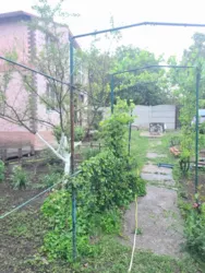 ��������� ������� �����, ����������, ������� ���� 1