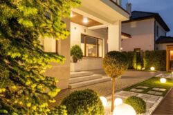 ������� �� '�������' ���� 19