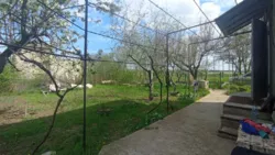 Дачна ділянка з доміком та підвалом, с. Кошари, СТ Протовик фото 5 Дачна ділянка з доміком та підвалом, с. Кошари, СТ Протовик фото 5