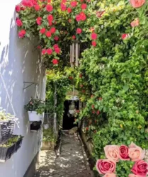 ������� �� ���. �����������, ��������-3. ���� 1