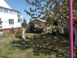 ��������� ������� ������ 3-� ���., ��������, ����������, ������� ���� 9