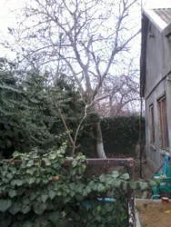 ������� 70 ��.�. �� ��������� ����� �����������. ���� 3