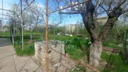Дачна ділянка з доміком та підвалом, с. Кошари, СТ Протовик фото 6 Дачна ділянка з доміком та підвалом, с. Кошари, СТ Протовик фото 6