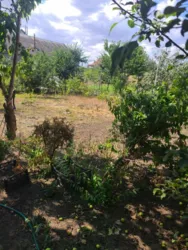 Продається будинок Молоджіна вул., 10, Олександрівка, Лиманський, Одеська фото 15 Продається будинок Молоджіна вул., 10, Олександрівка, Лиманський, Одеська фото 15