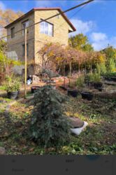 �������� ����.ֳ�� �� �� ������, ������ � ��������� ���� 1