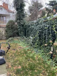 �/�, ���� ³����, �������� 2 ���� 35