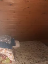 Продається будинок участок, Маяки, Біляївський, Одеська фото 16 Продається будинок участок, Маяки, Біляївський, Одеська фото 16