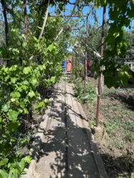 ��������� ������� ������� ���., 1175, �����, ����������, ������� ���� 14