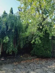 ������ �������� � ������������ г�'�� � �������, ��������, ������� �� ����� � �����! ���� 7