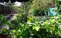 ����� 2-�� ���������� �������! ������� �������! ���� 10