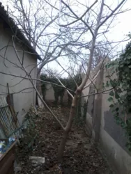 ������� 70 ��.�. �� ��������� ����� �����������. ���� 2