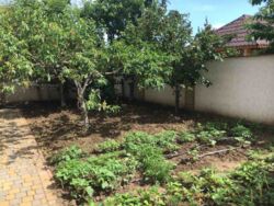 ������� ��� ���� � ������� ���������� ������� ������� ���� 12