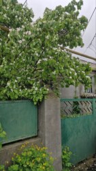 Продам дом ,с.Фонтанка. 2 поверхи, другий мансарда. фото 17 Продам дом ,с.Фонтанка. 2 поверхи, другий мансарда. фото 17