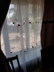 Одесская обл., Лиманский р-н, Кубанка с., красноселка, фото 2 Одесская обл., Лиманский р-н, Кубанка с., красноселка, фото 2