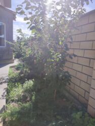 � ������� ������� � ��������� ��� ˳��� � ����� ������������ ������.����� ��������� �������� ���� 5