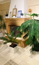 ДВА нових будинка з ремонтом на ділянці 10 соток у с. Фонтанка! фото 14 ДВА нових будинка з ремонтом на ділянці 10 соток у с. Фонтанка! фото 14