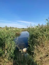 �������� ������ � ������� � �. ����� �� '�������'! ���� 11