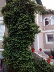 ������ ��������� ������� �/ � ������ ���� 1