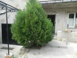 ����������, ������ ���� ���� 2